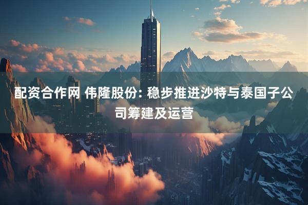 配资合作网 伟隆股份: 稳步推进沙特与泰国子公司筹建及运营