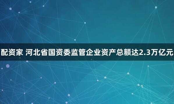 配资家 河北省国资委监管企业资产总额达2.3万亿元
