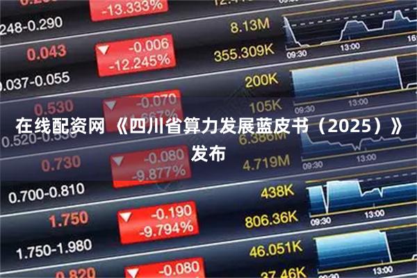 在线配资网 《四川省算力发展蓝皮书（2025）》发布